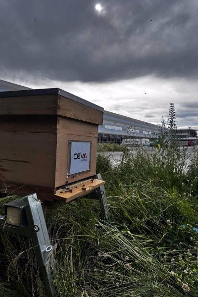 CEVA hive in a wildflower meadow