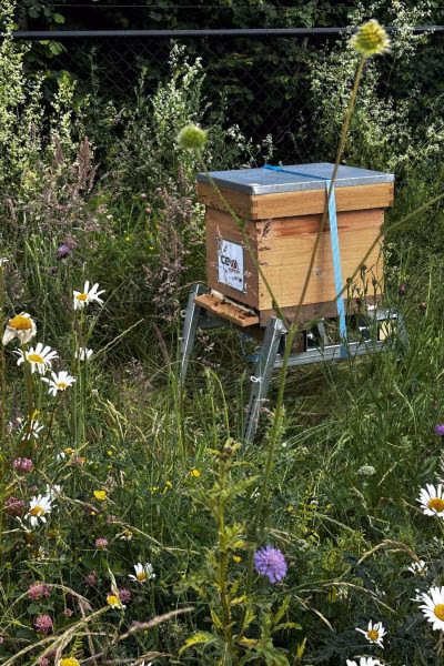 CEVA-branded beehive under a storm sky with the warehouse behind