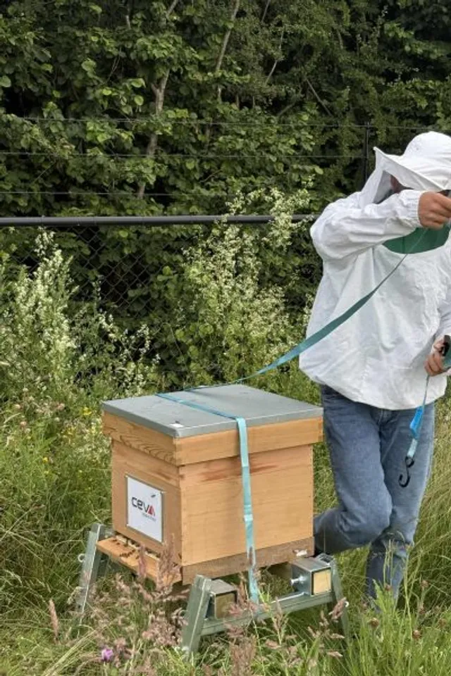 Beekeeper in protective suit beside the CEVA hive