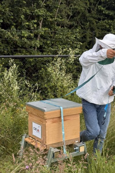 Beekeeper in protective suit standing beside a hive stand