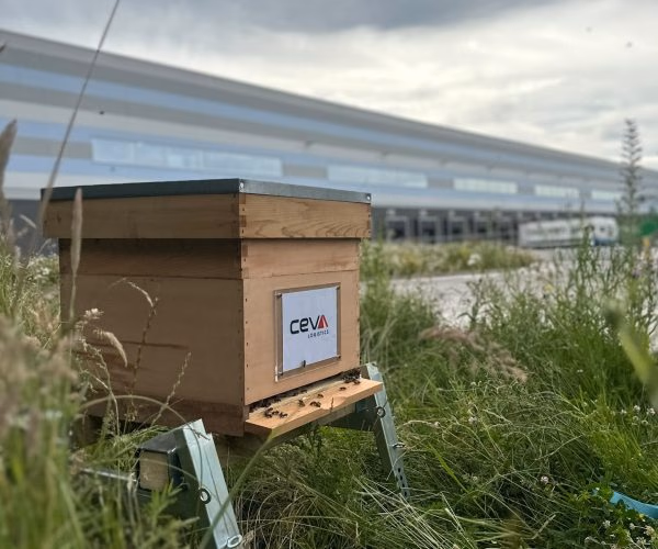 CEVA Logistics hive placement with the warehouse in the background